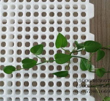 高清圖片下的塑料地板 優(yōu)勢(shì)、選擇與應(yīng)用