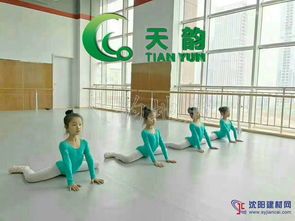 沈陽(yáng)天韻舞蹈地膠廠家 專業(yè)批發(fā)與產(chǎn)品展示