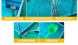 云浮豬場現代化養殖 從塑料地板到實木地板的保育欄革新